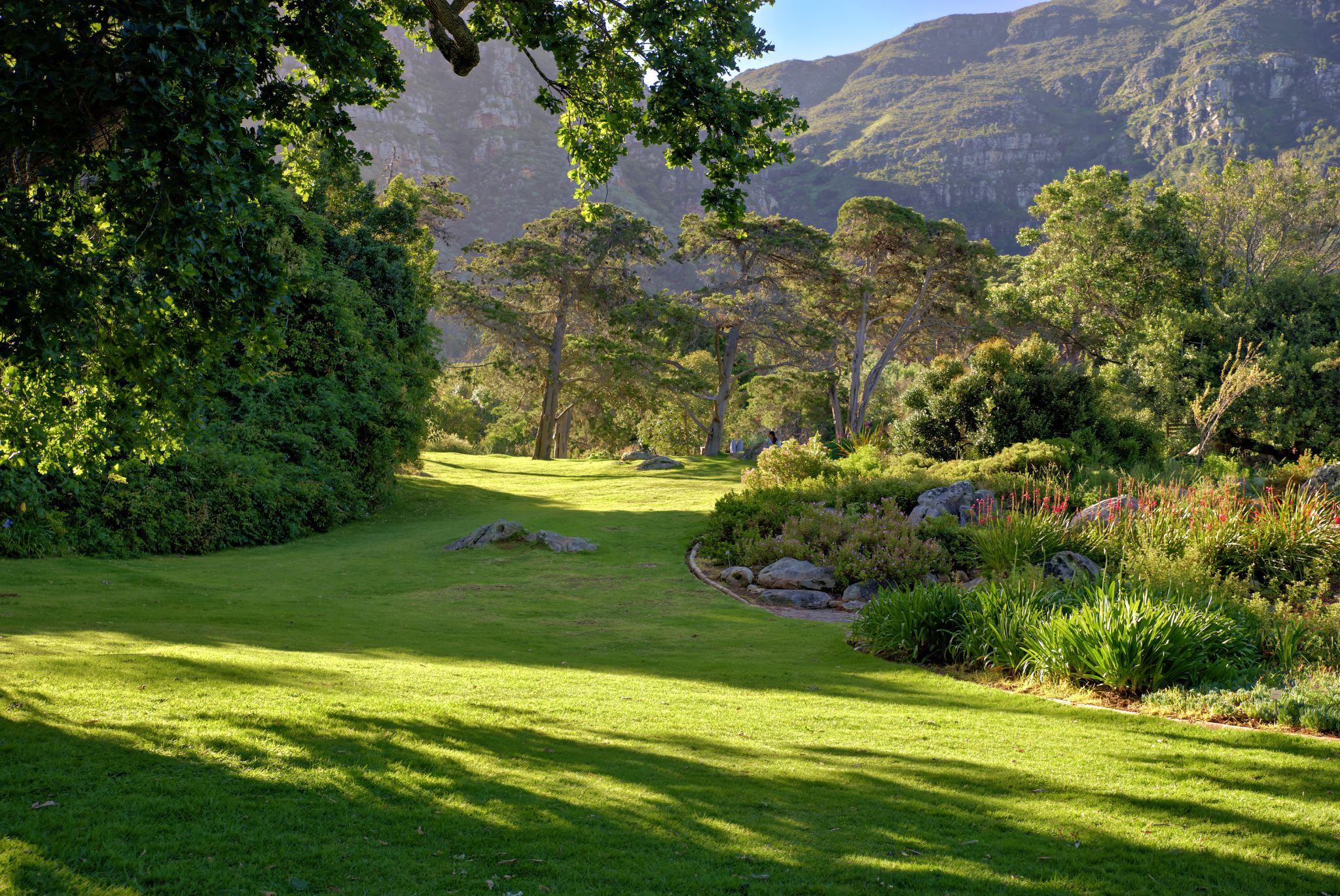 Botanischer Garten Kirstenbosch